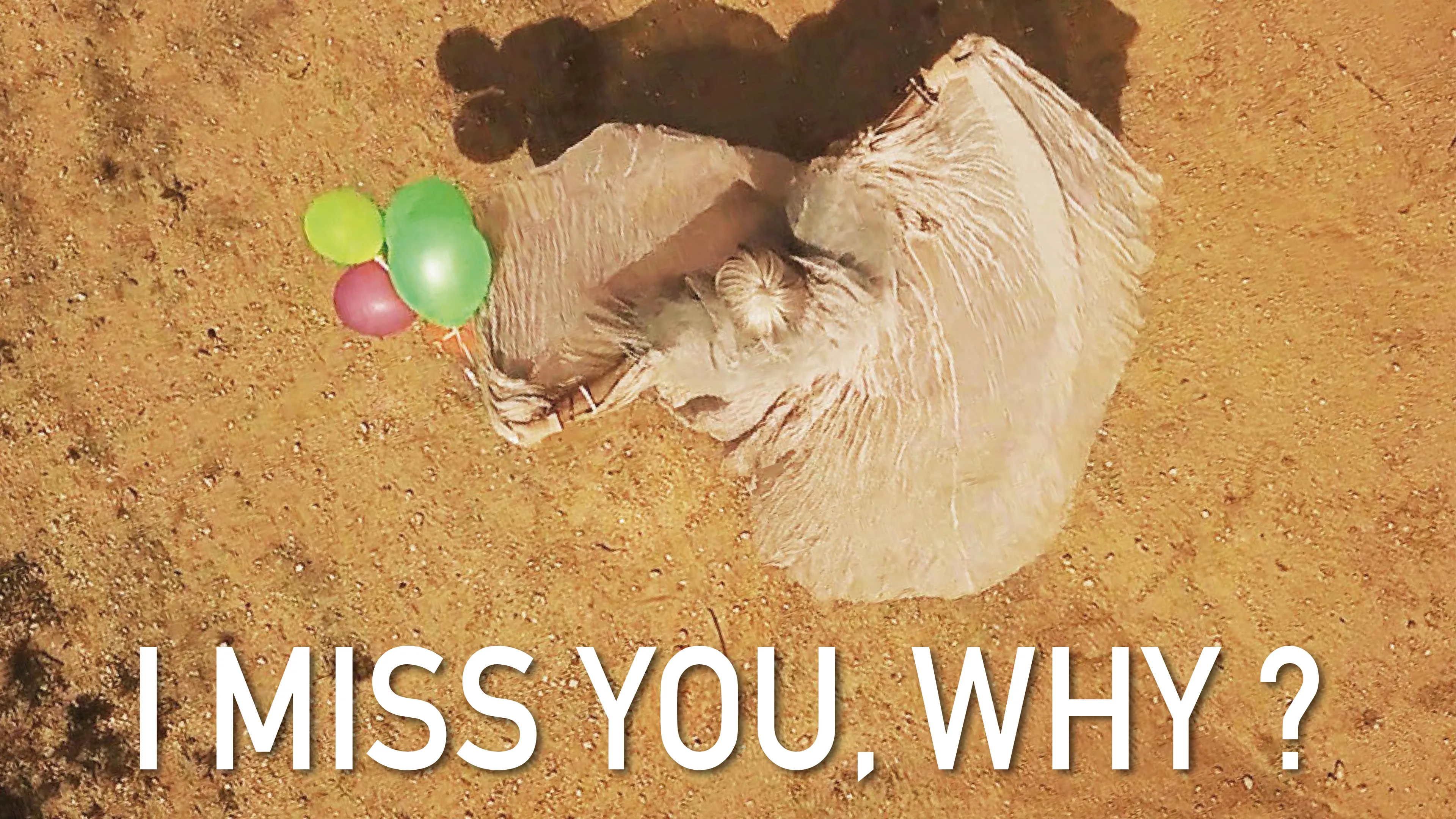 I Miss You Why? poster